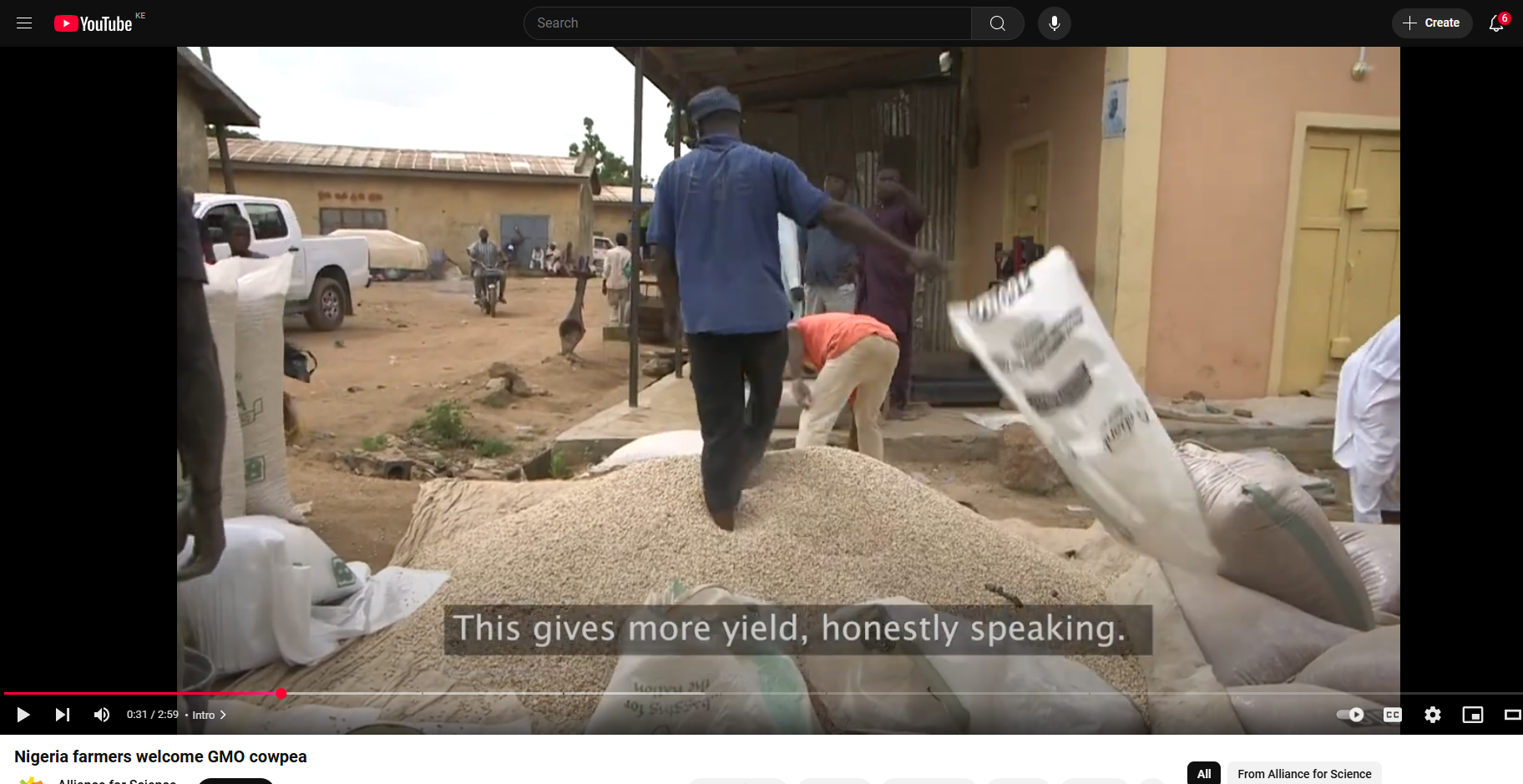 Nigeria farmers welcome GMO cowpea